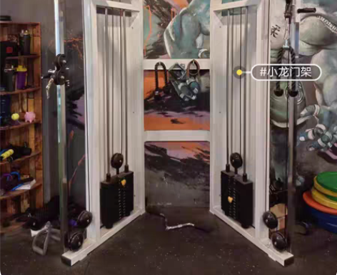 低价出售个人二手健身器械，史密斯，哈克机，...