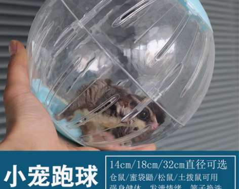 转卖蜜袋鼯跑球仓鼠蜜袋鼬松鼠龙猫土拨鼠刺猬...