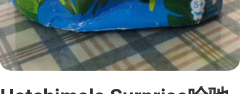 Hatchimals Surprise哈驰...