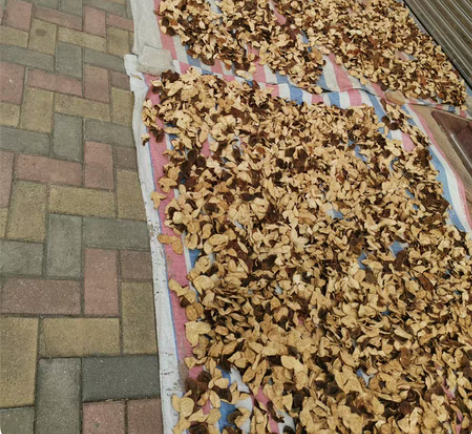 茶坑，天马5～10年 感兴趣的话点“我想要...