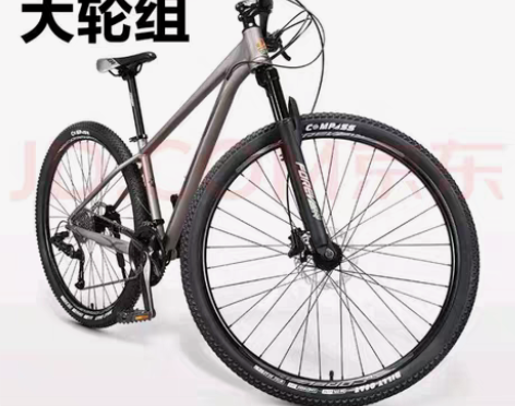 29寸大轮毂山地自行车，2021年9月份1...