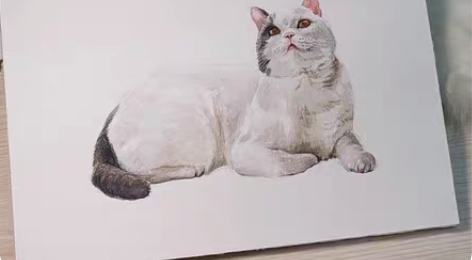 宠物头像水彩手绘宠物卡通照片来图定制约稿 ...