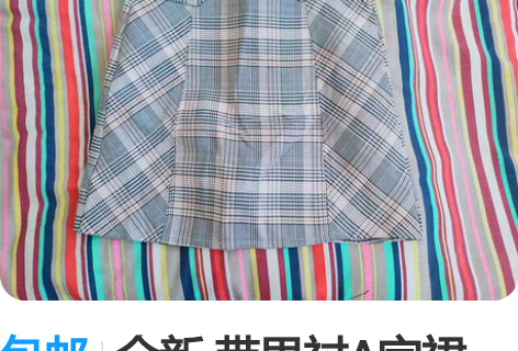 包邮全新 带里衬A字裙 感兴趣的话点“我想...