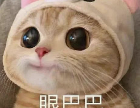 有问题联系贴～ 感兴趣的话点“我想要”和我...