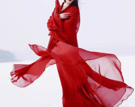 转卖追风侠 民族装舞台装 九点九成新 看好...