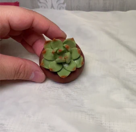 包邮掉落自制软陶多肉君 感兴趣的话点“我想...