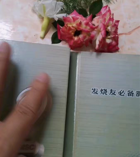 试音天碟 发烧友必备测音大碟 正版，中国唱...