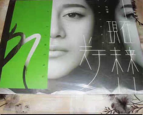 出 王源 黑胶唱片彩绘版 录屏改地址 随时...