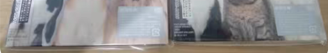 原版未拆 THE ALFEE SINGLE...