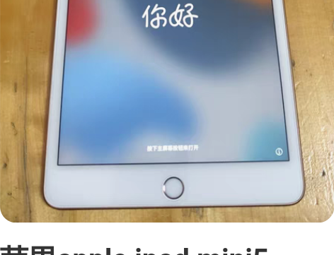 苹果apple ipad mini5 64...