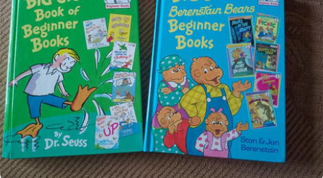 包邮大蓝书已售出，还剩大绿书 the bi...