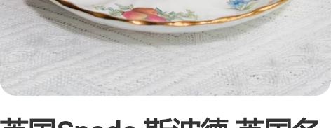 英国Spode 斯波德 英国名瓷 骨瓷咖啡...