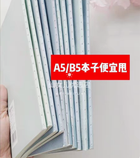 包邮【捡漏全新包邮】A5，B5笔记本学生本...