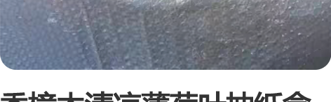 香樟木清凉薄荷叶抽纸盒收纳盒驱虫祛味 尺寸...