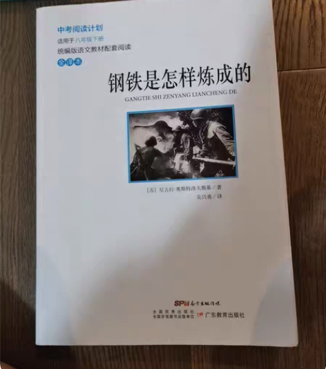 必读书钢铁是怎样炼成的 感兴趣的话点“我想...