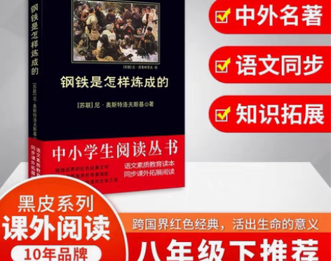 钢铁是怎样炼成的 （苏）奥斯特洛夫斯基 著...