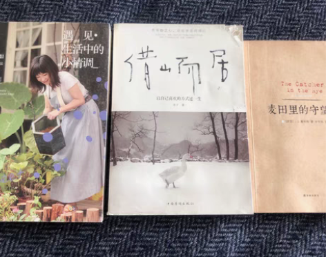 包邮三本图书 处理 有一本被猫咬了一个角 ...