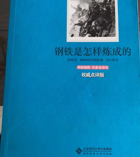 八成新图书，《钢铁是怎样练成的》——尼·奥...