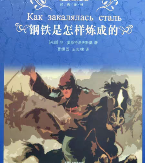 《钢铁是怎样炼成的》 -[苏联]尼·奥斯特...