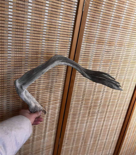 骨飘，全骨，收藏级，重0.6斤 感兴趣的话...