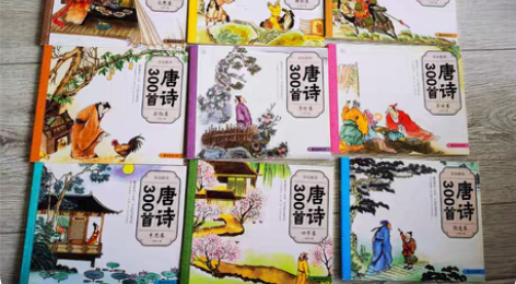 彩图注音版唐诗三百首 一套一共10册，目前...