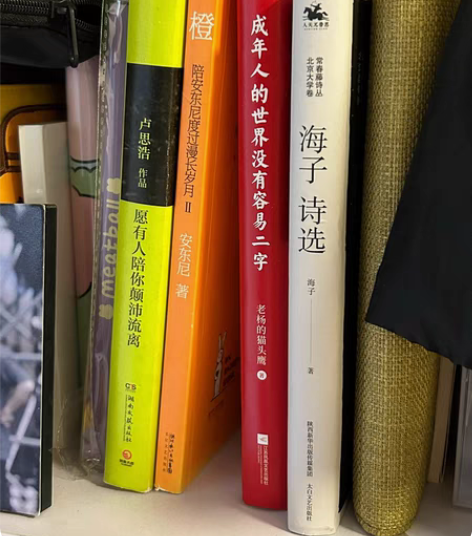 包邮出闲置书籍 4本打包包邮42r 单出不...
