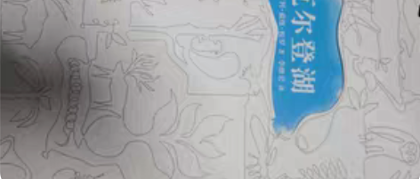 精装图书，毕业清仓 都是优秀的读物，硬皮金...