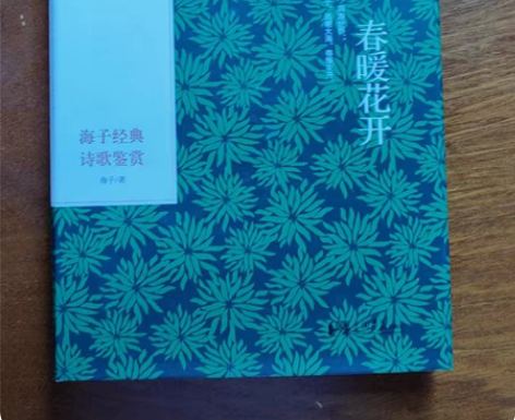 商城正版面朝大海春暖花开海子经典诗歌鉴赏精...