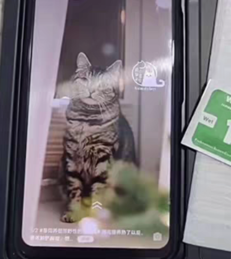 vivoX21 99新 学生自用一体机 特...