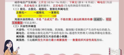 985大学系一,搞过ACM,大一期间C语言...