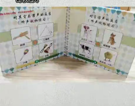 包邮听能康复秘籍是一套系统的听力康复工具书...