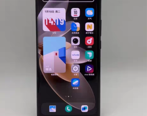 包邮99新【捡漏】vivo vivo S1...