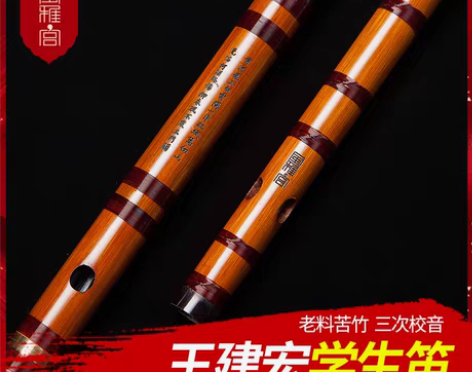 转卖风雅宫王建宏学生笛子成人初学 零基础竹...