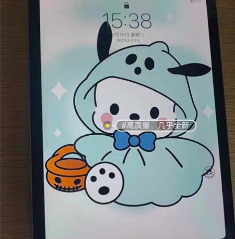 iPad2021款9代256g插卡银色几乎...