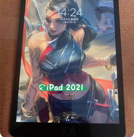 闲置出iPad2021  256G  10...