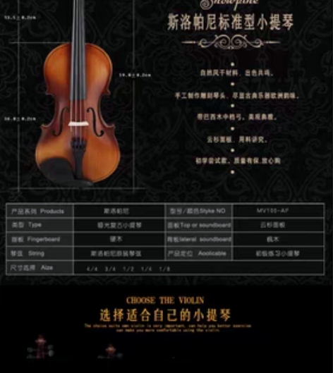 斯洛帕尼标准型小提琴 3/4 因为没有时间...