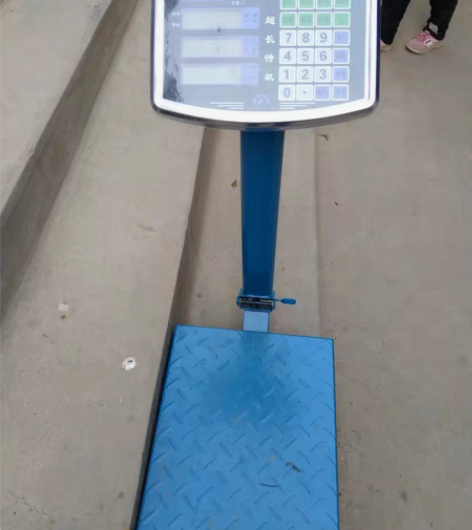 包邮家用小型磅秤2全新300kg家用商用多...