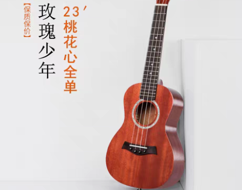 转卖安德鲁尤克里里初学者23寸单板学生成人...