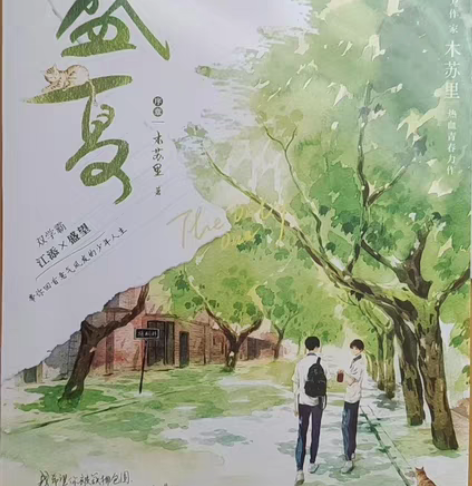 【出】盛夏序章，全新未拆，15r 破云3，...