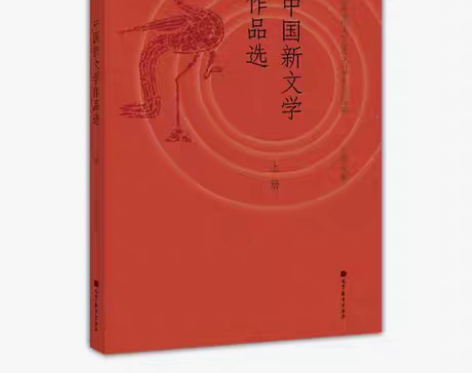转卖中国新文学作品选  上册 丁帆主编  ...