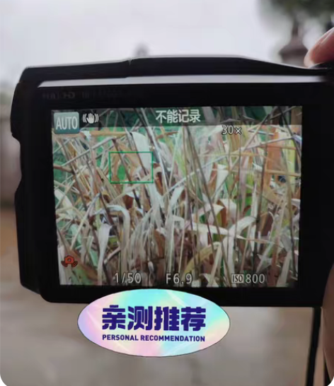 佳能摄月便携式微单powershot SX...