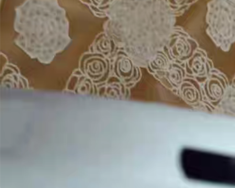 包邮老相机 Premier拍得丽 Z-20...