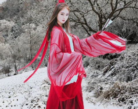 转卖清冷风大袖衫魏晋风汉服男女班服交领改良...