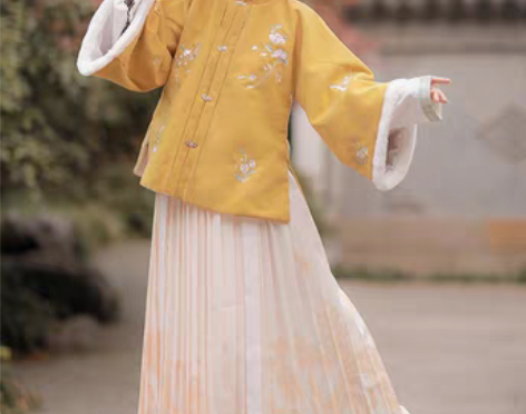 转卖汉服女中国风汉元素冬装明制古装国风冬季...
