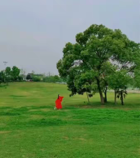 转卖红色魏晋风武侠古装汉服女中国风交领古风...