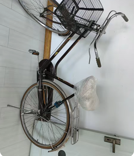 永久自行车，老车，比较爱惜，顾乡新华小学附...