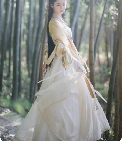 包邮（出租）司南阁原创【赵小灵】汉服女款宋...