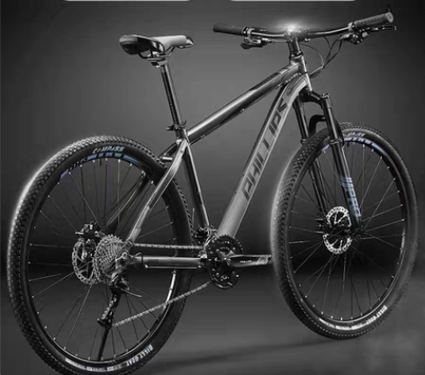 刚买组装好 骑过一次 感兴趣的话点“我想要...