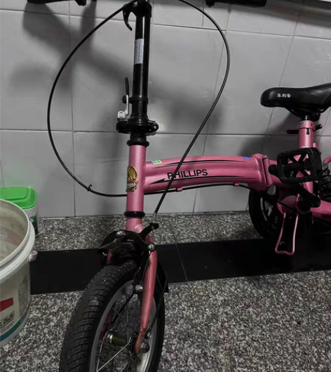 洗洗和新的一样 菲利普折叠自行车原价100...