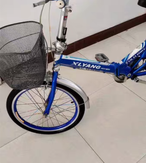 妹妹家去年买的折叠自行车一辆20寸女士单车...